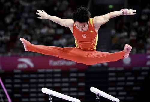 巴黎奥运会中国体操队月中下旬分批前往巴黎
