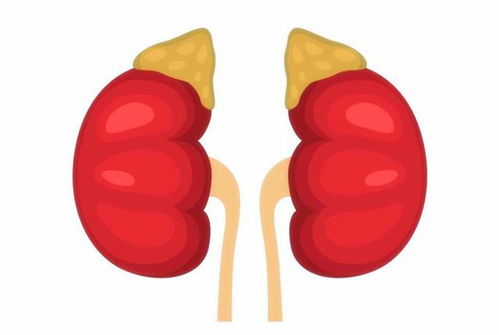 事关改革！权威专家：未来需加强报价质量考核