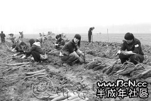 分享一下美联社关于美国公开赛首轮的报道