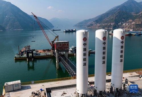 消息称道达尔得州炼油厂关闭一周后恢复运营