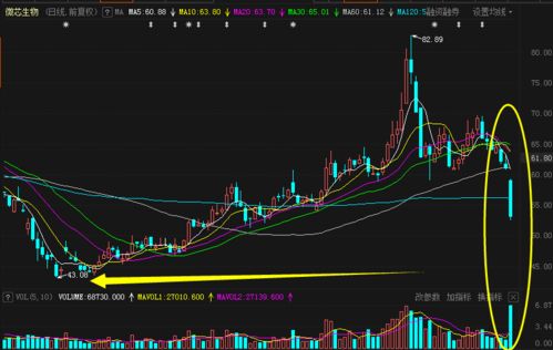天振股份：控股股东拟增持万股至万股公司股票