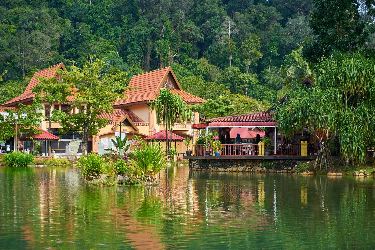 晒背族占领上海各公园