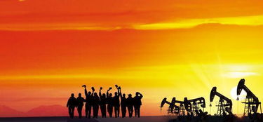 中国海油宣布在南海西部获重大勘探突破