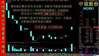 闪崩了  谈股论金