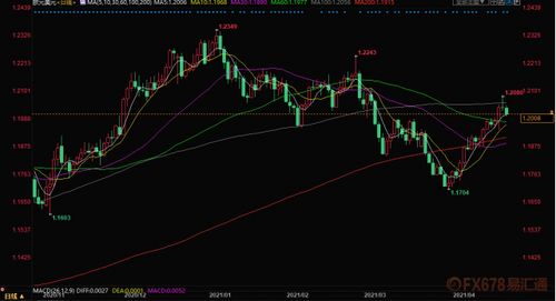 美元或因就业数据改善走强期权交易员转向看空欧元