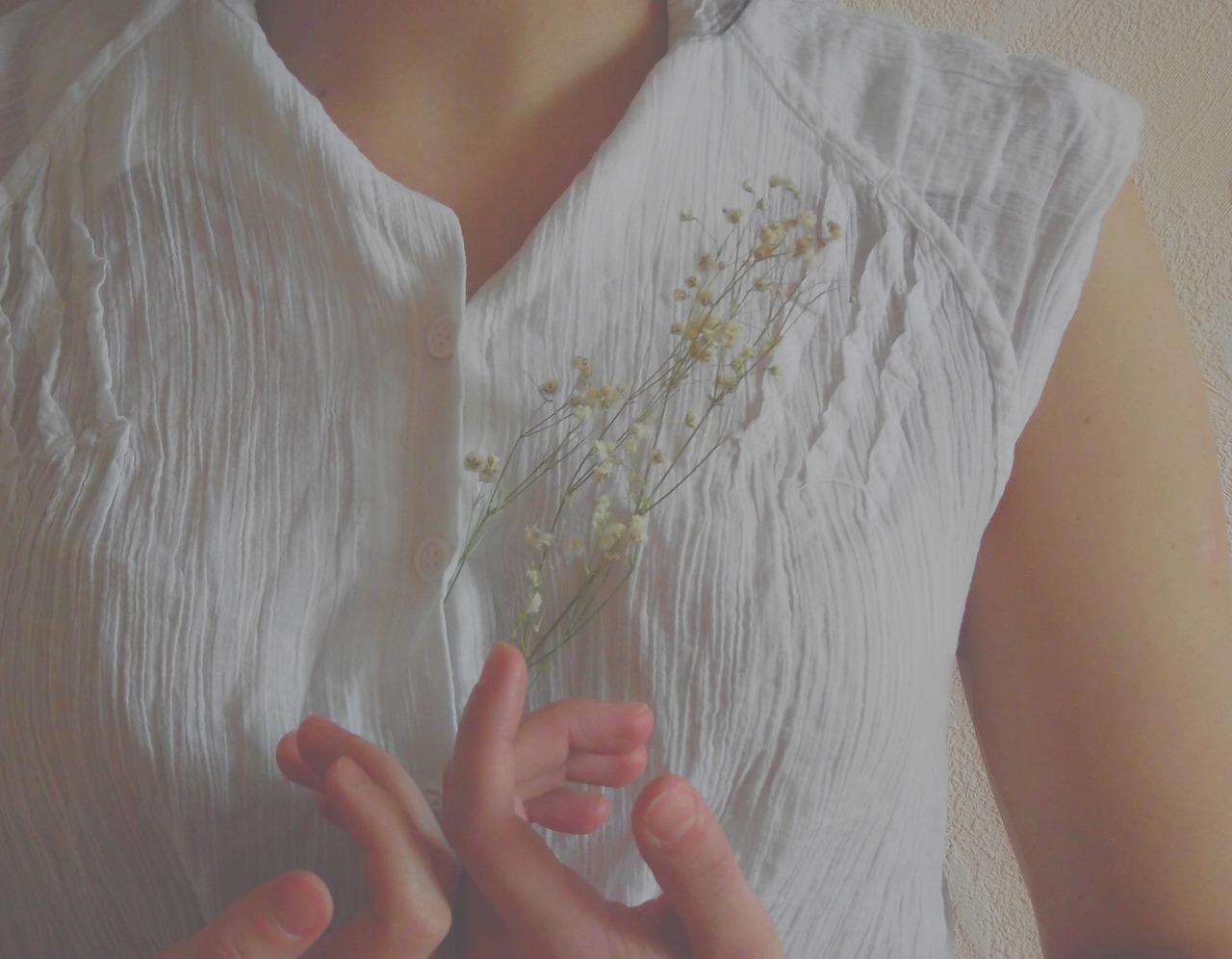 半熟男女还没播就上强度