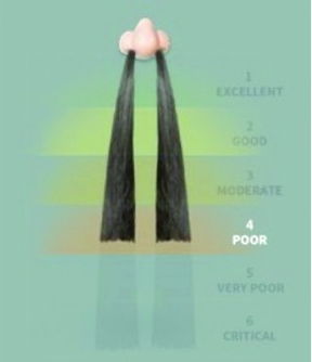 通用电气上涨%，报美元股