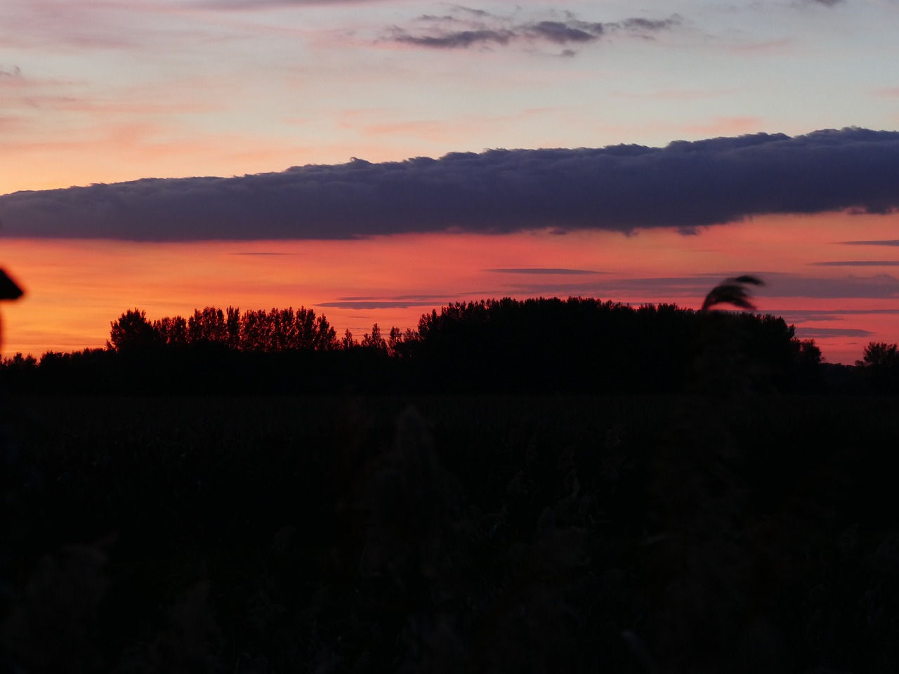 跨过成长的分水岭，何时不再是过六一儿童节的年龄？