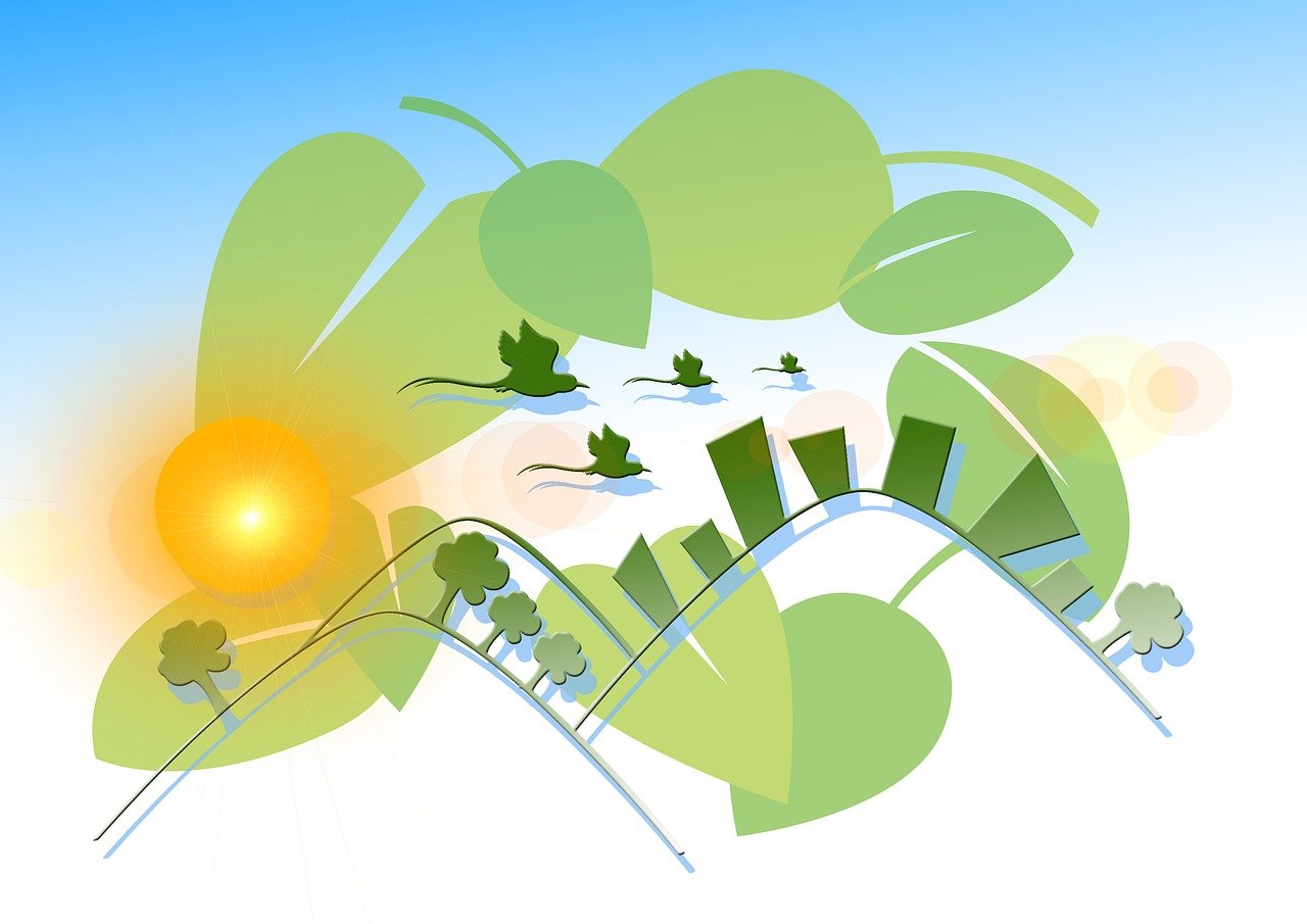 守护成长的航标，小学生家规的智慧与力量