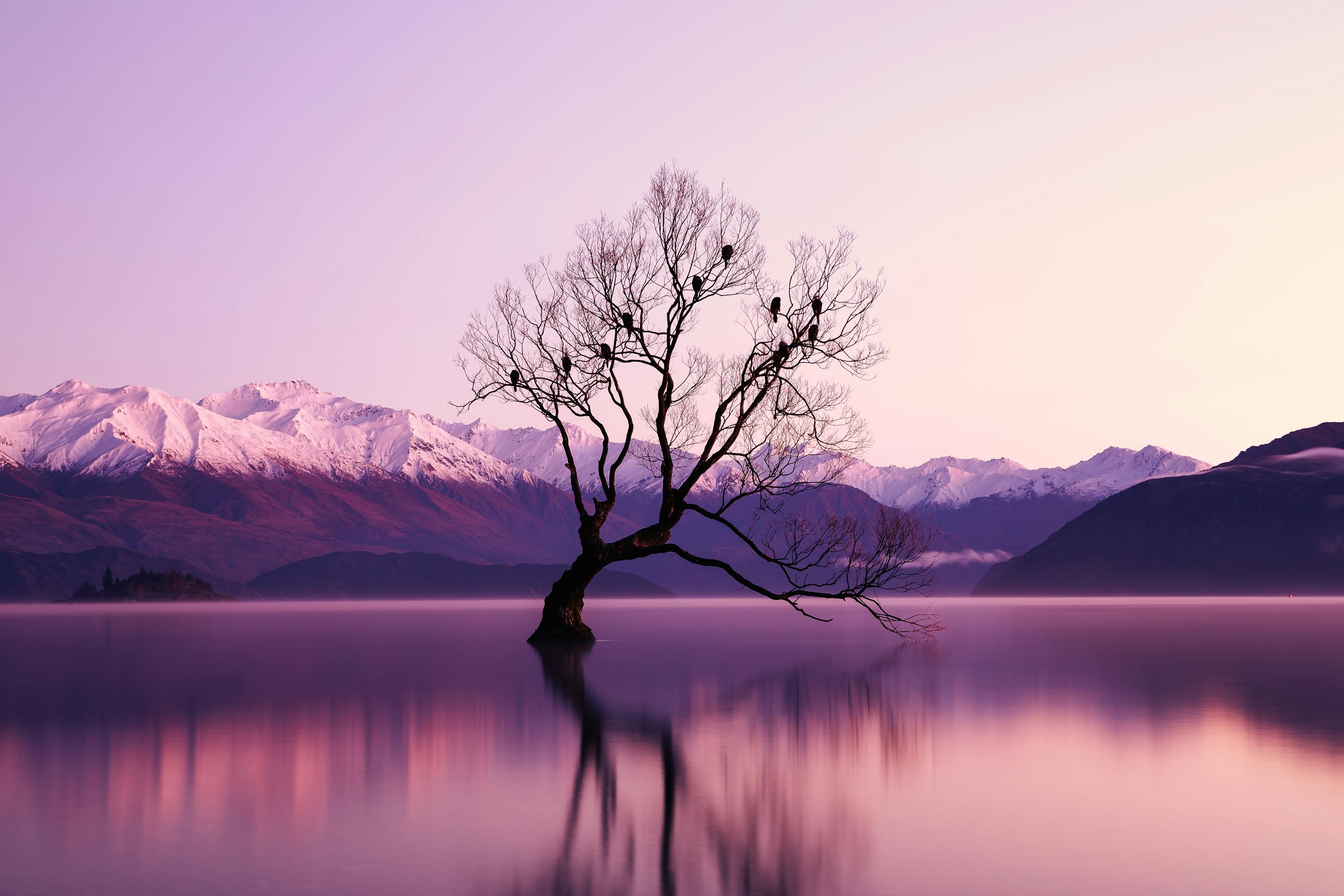 QQ相册里的时光倒影，珍藏回忆，记录青春的每一页