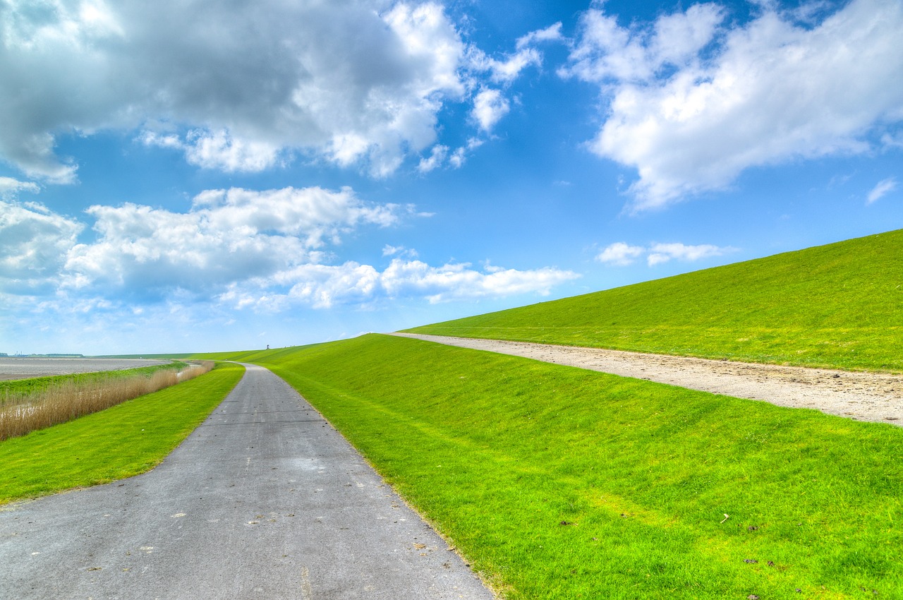 中国畜牧业，绿色转型与可持续发展的新篇章