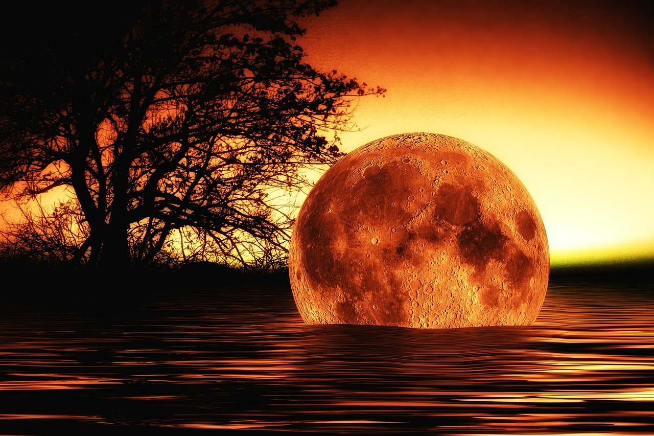 穿越回2017，重塑那个改变世界的三月五日