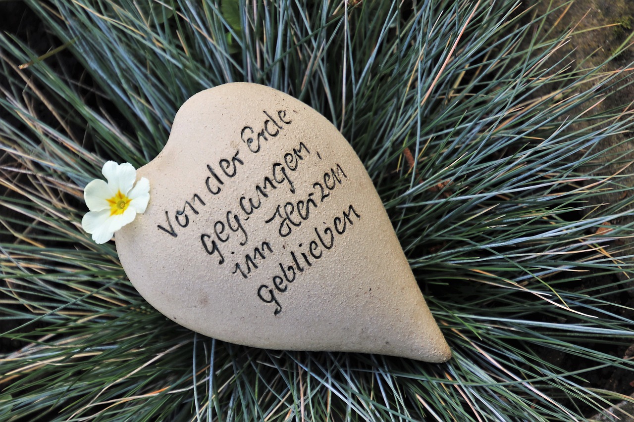 一枝独秀，揭示生肖中那只独一无二的奇葩