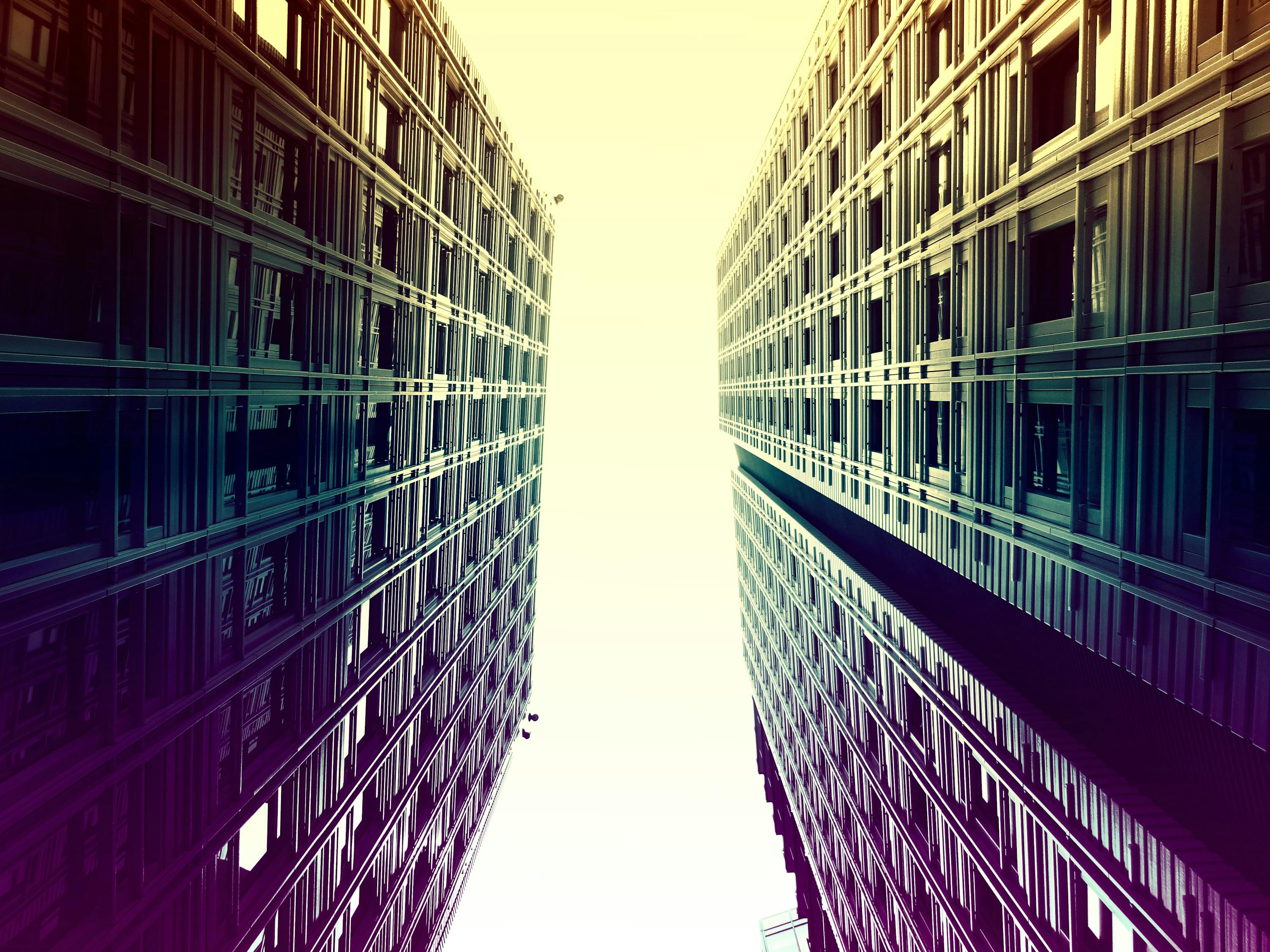 黑龙江省的教育绿洲，探索未来学习的智慧引擎