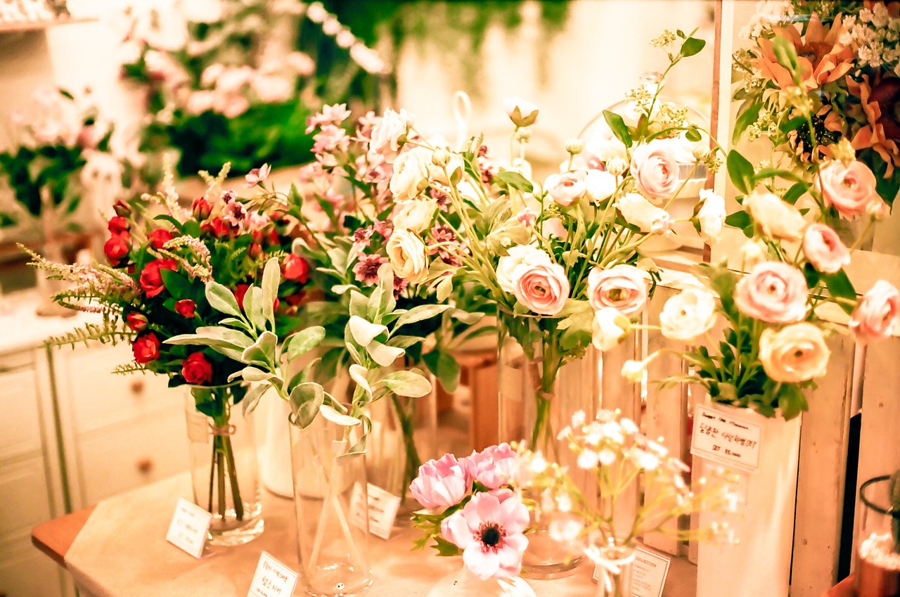 家有梅花，温馨生活中的诗意点缀与养护指南