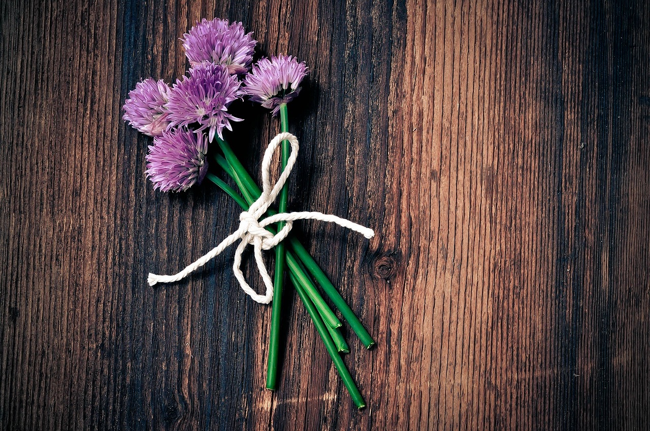 冬至暖人心，包饺子的深层寓意与传统智慧