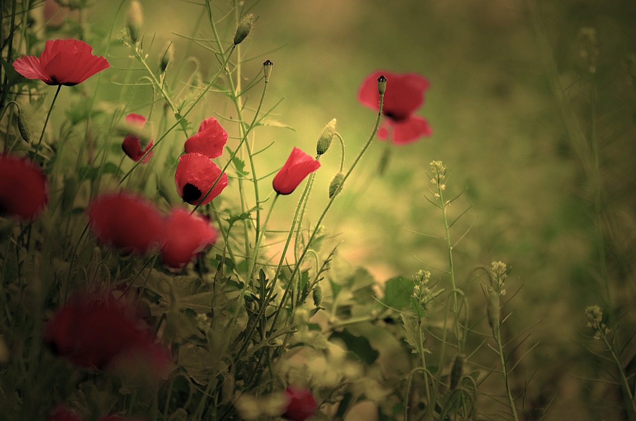 味蕾探春咬春时节，解锁那些富含生机的美味传统