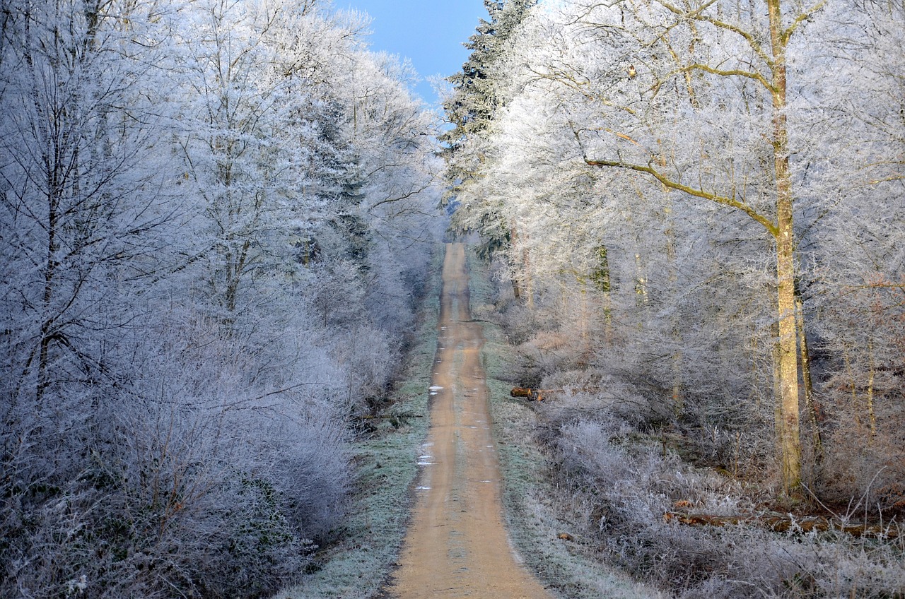 诗意栖居，探索生活中的那些温柔角落
