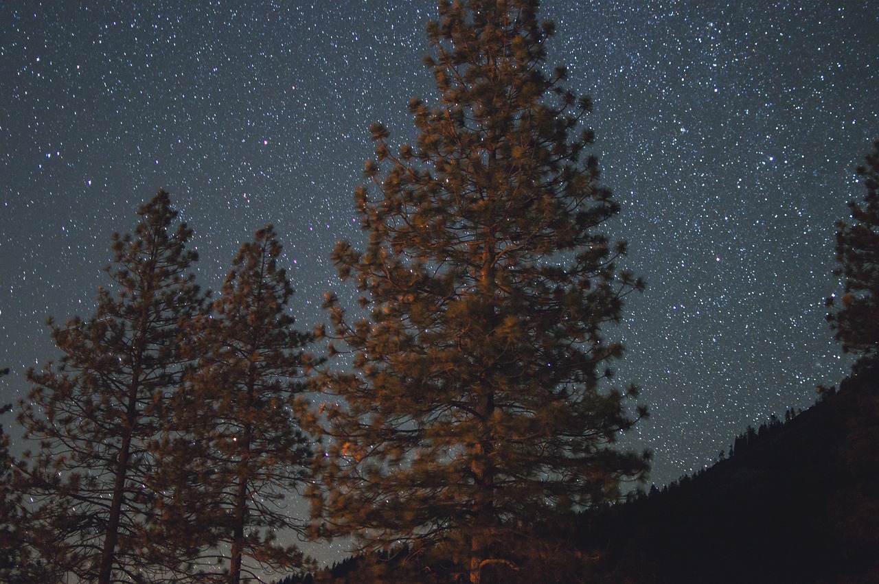 七夕情人节，创意礼物指南，让爱意如星辰般璀璨