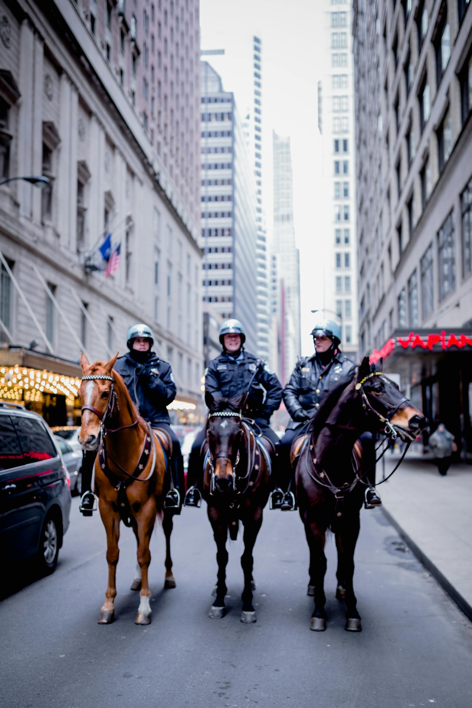 警察日，守护安宁背后的英雄们——了解并尊重他们的日子