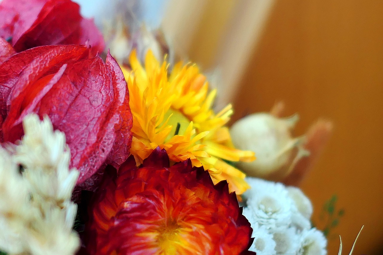 温馨献花的言语艺术，清明祝福语如何轻轻说出口