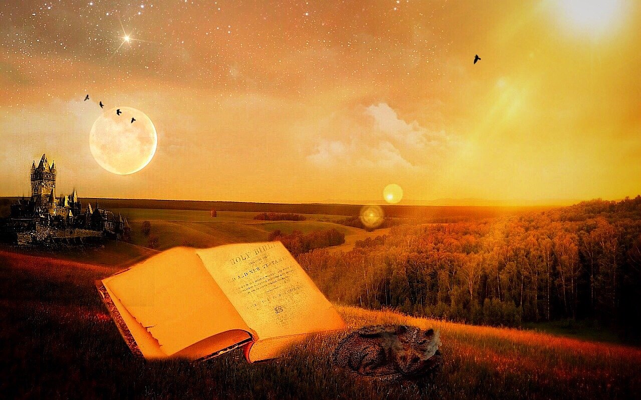 中秋佳节，如何抓住最佳赏月时刻，一场月亮的浪漫约会指南