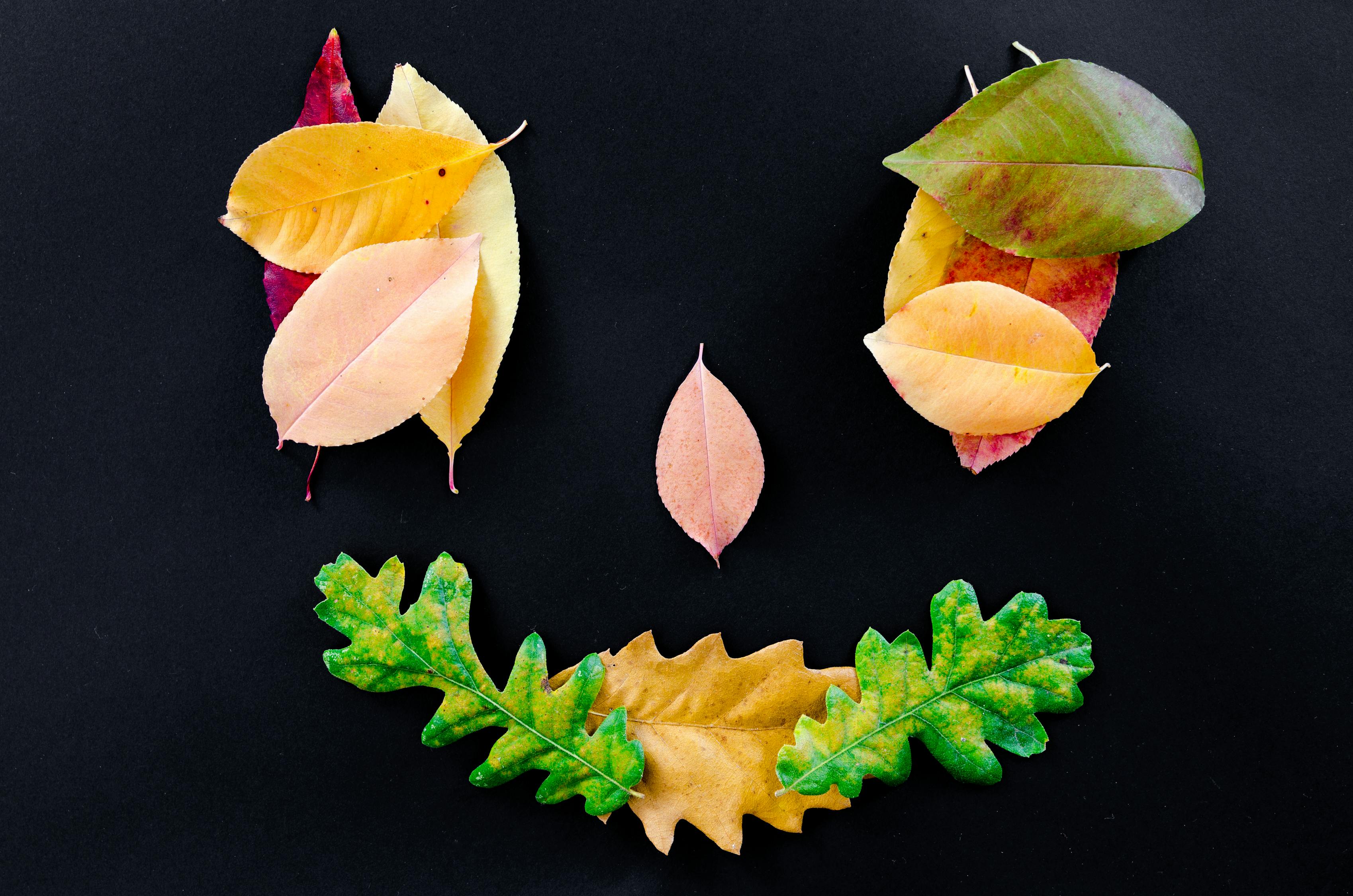 小满时节，解锁五道传统美食，让你的味蕾与季节同鸣