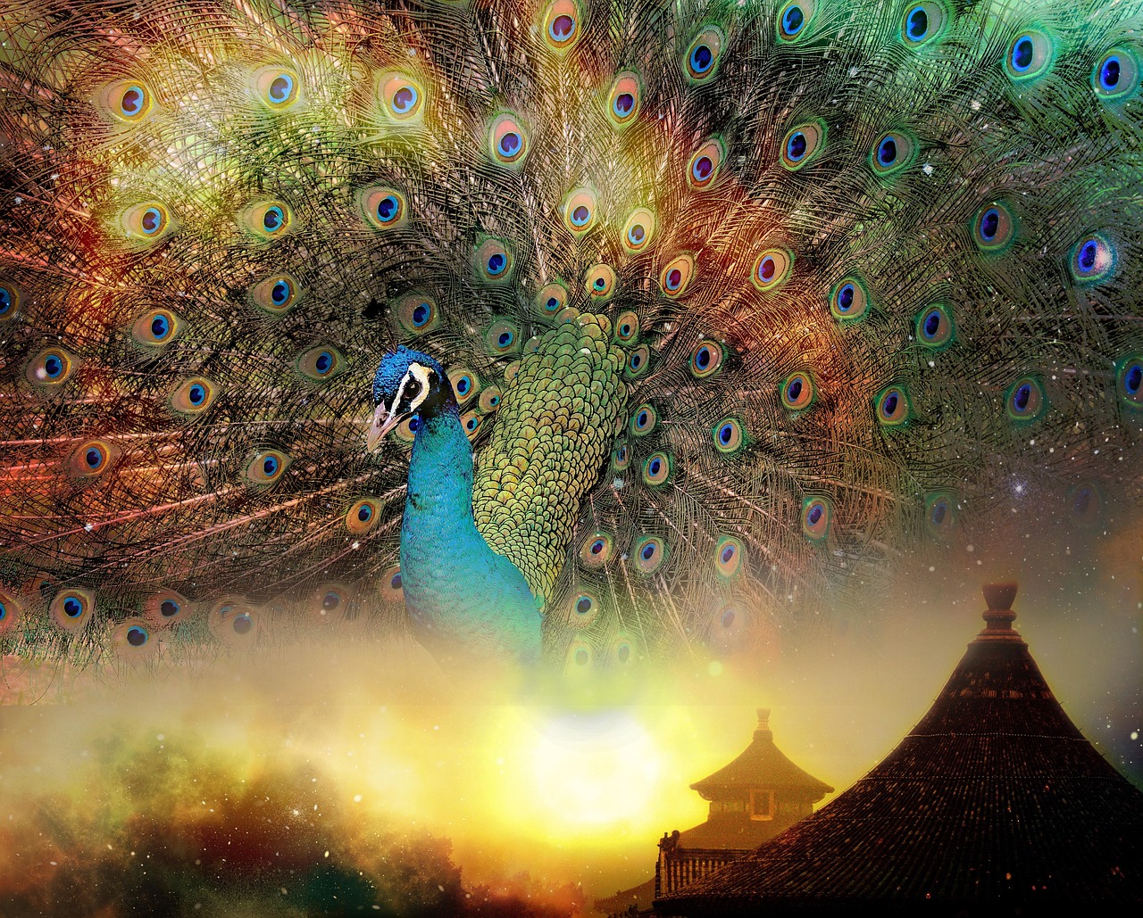 阴阳颠倒，理解生活中的自然平衡之道