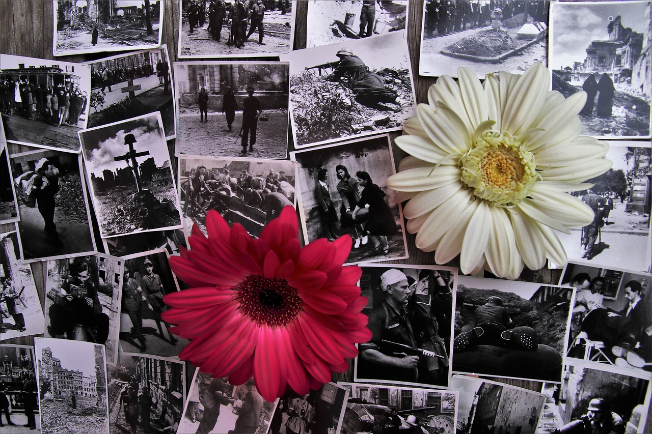 揭秘非典，一场全球记忆中的公共卫生风暴——从2003年的历史印记到今日的预防与应对