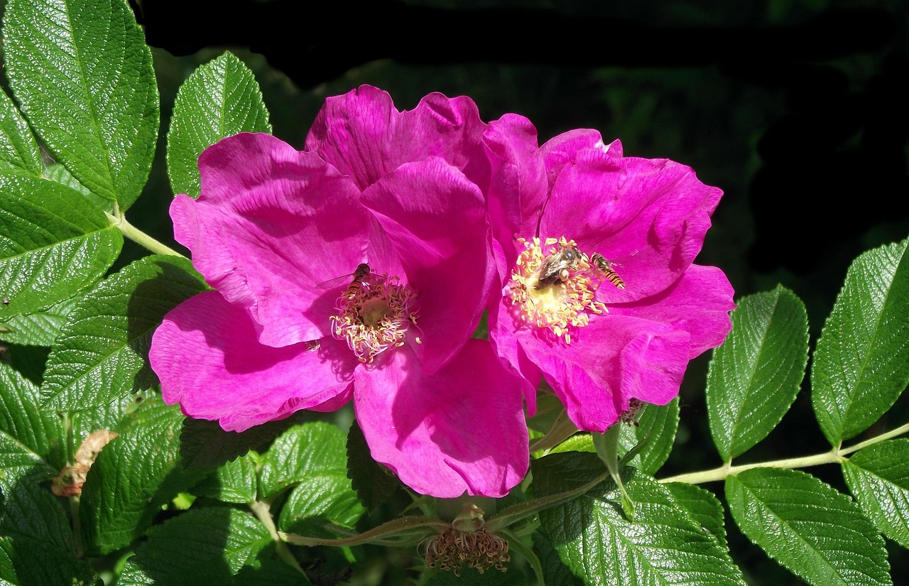 7月22日，让财神眷顾的祝福与智慧锦囊