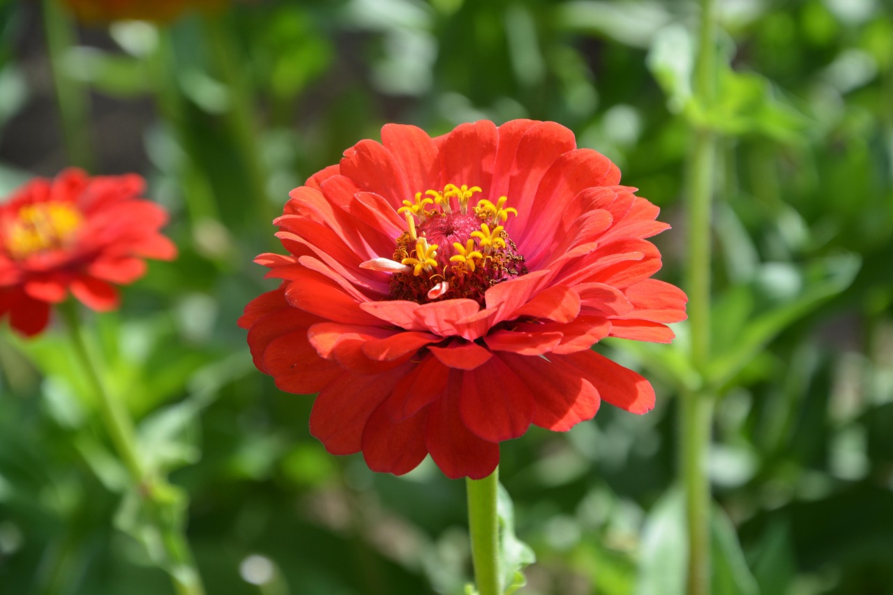 哈尔滨疫情新动态，两地调整为中风险区域的深度解析