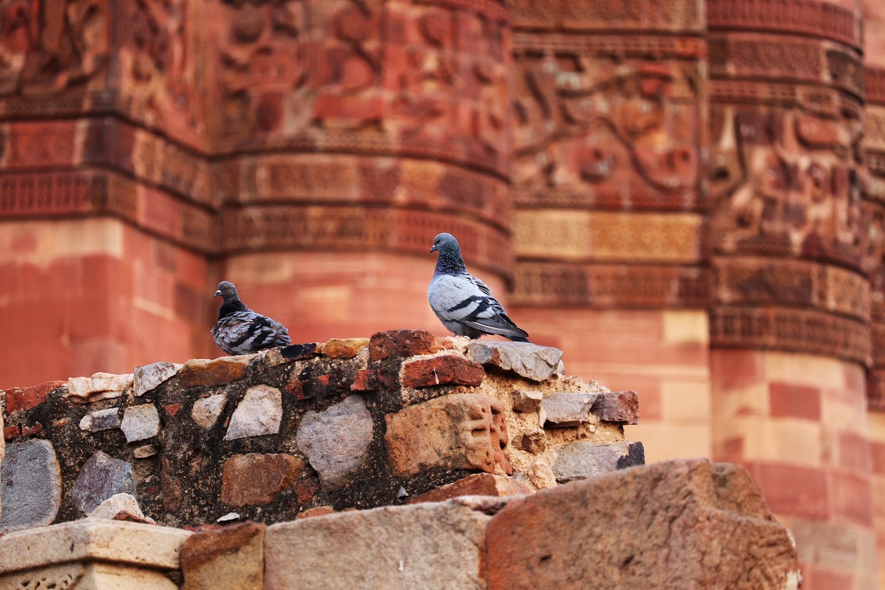 掌握全国疫情动态，全国感染高峰进度小程序的实用指南