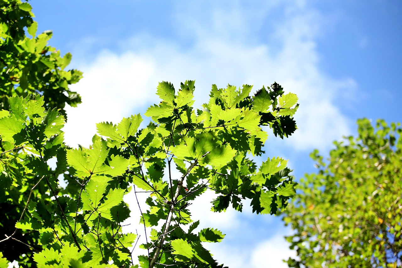 镇江疫情最新动态，今日情况综述与防控措施更新