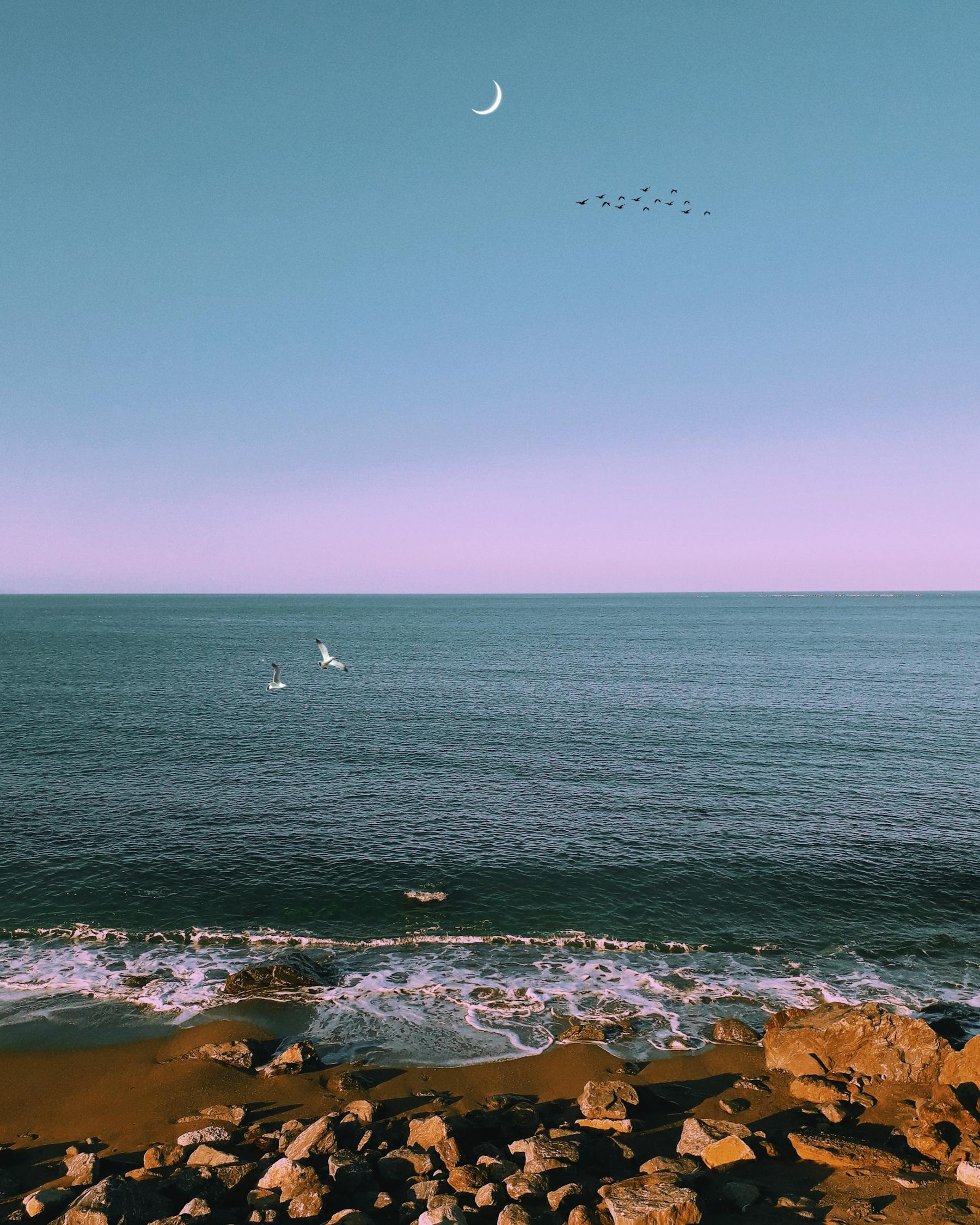 大连，辽宁省的璀璨明珠，东北亚的开放窗口