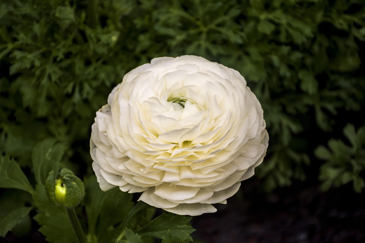 河南疫情新动态，新增17例本土无症状感染者深度解析