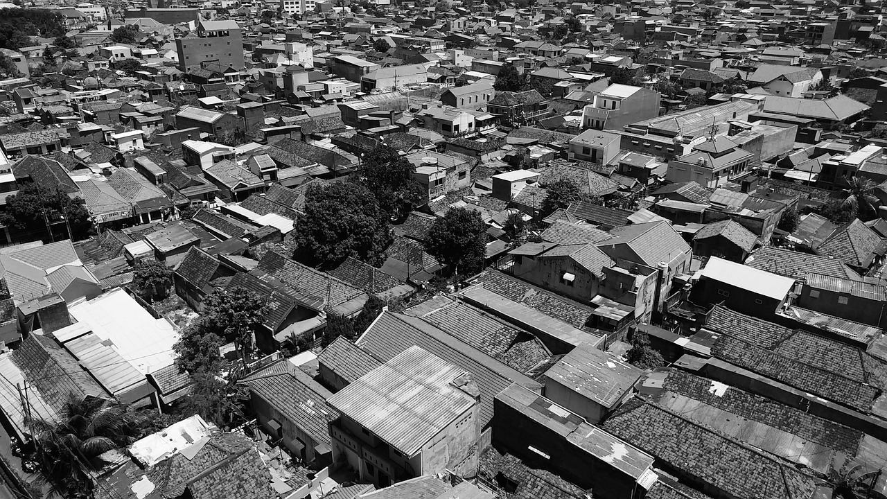 疫情动态,31省区市新增确诊病例31例的解读与应对 疫情动态,31省区市新增确诊病例31例的解读与应对