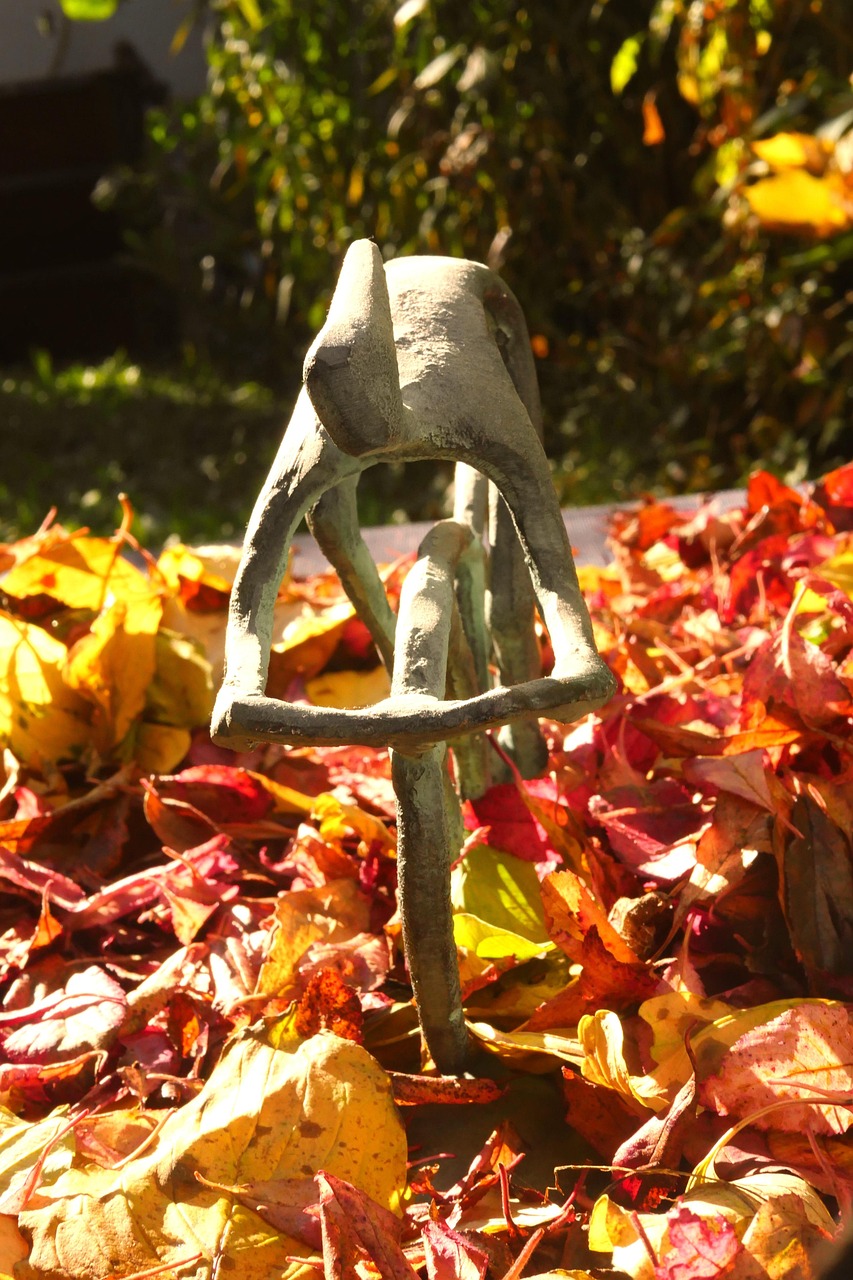 四川疫情速报，2日动态，生活与健康的晴雨表