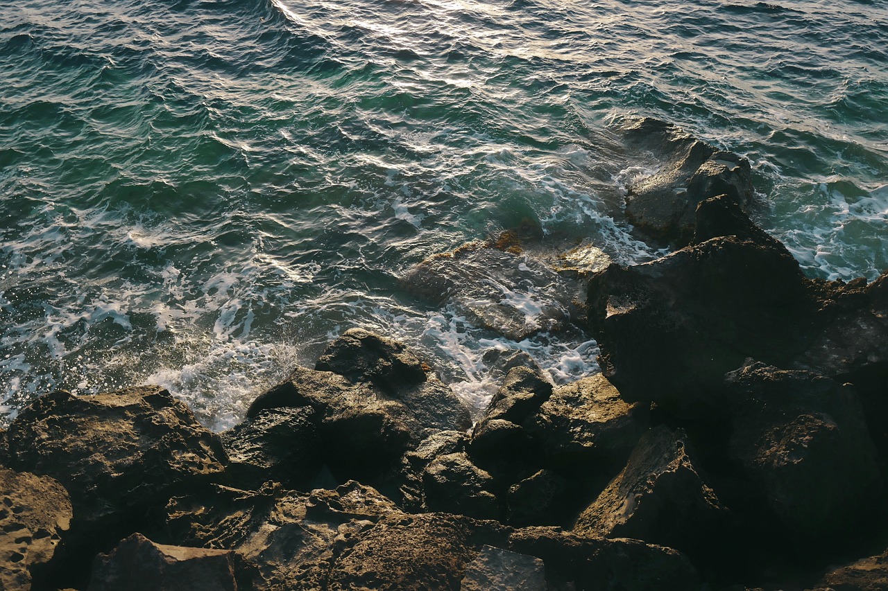 北京疫情最新动态，1例新增病例的启示与应对策略