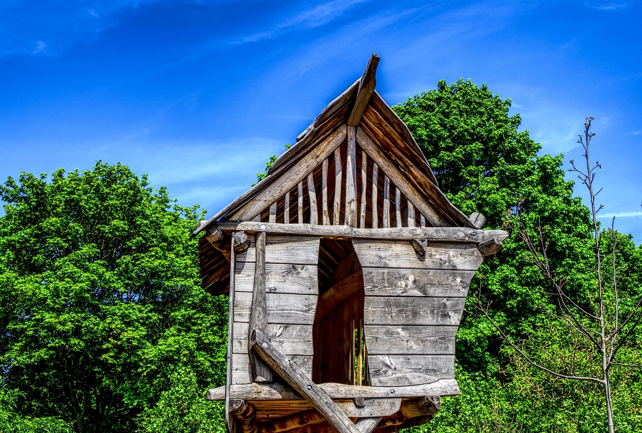 中国31省份疫情动态，河南新增43例本土确诊的分析与应对