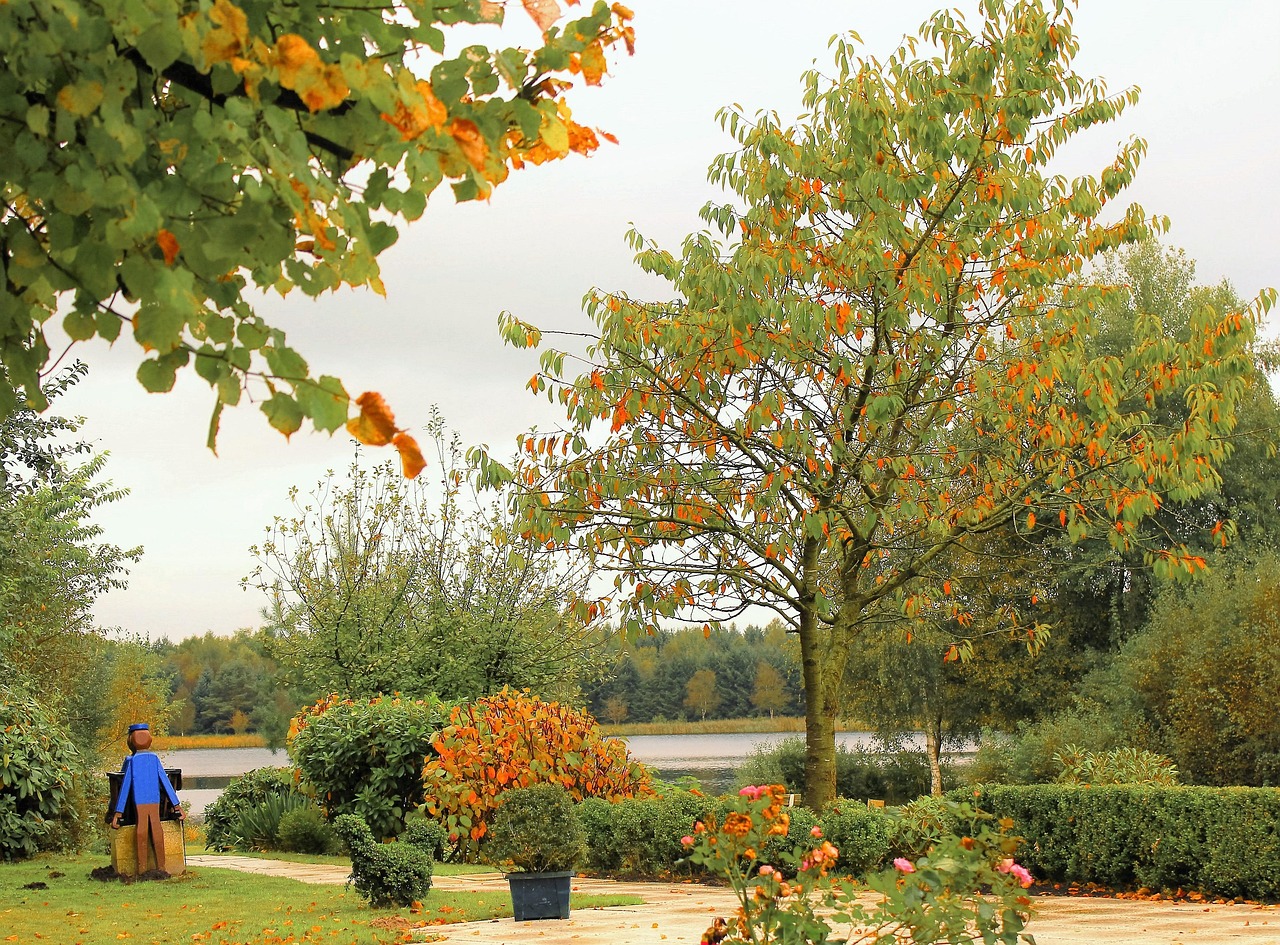 吉林新增病例，了解疫情动态，共同防疫