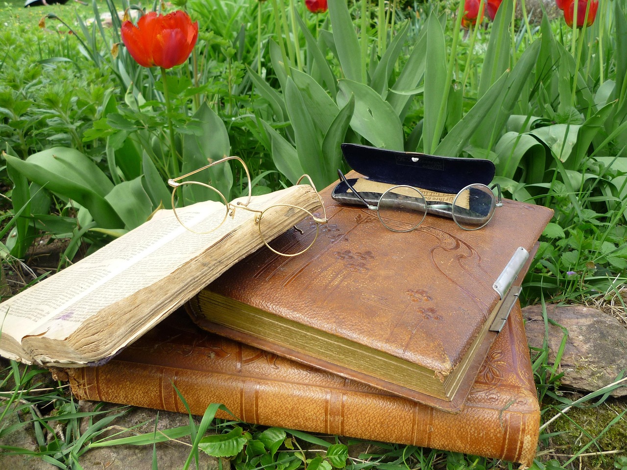 青岛疫情新动态，本土确诊案例的应对与预防