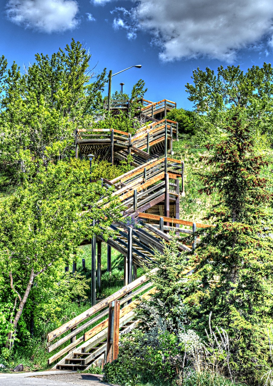 成都疫情最新动态，防控措施与市民生活指南