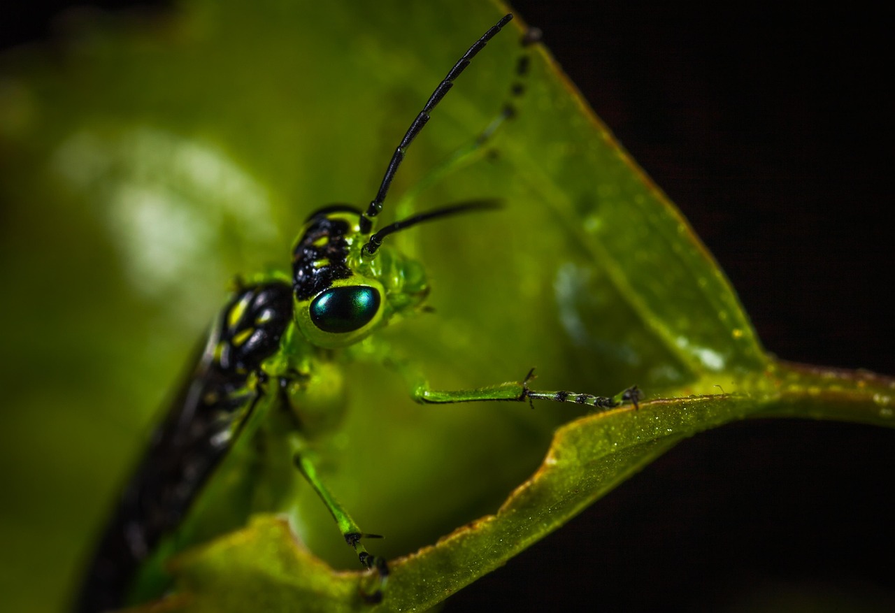 上海疫情新动态，50例本土无症状感染者带来的警示与应对