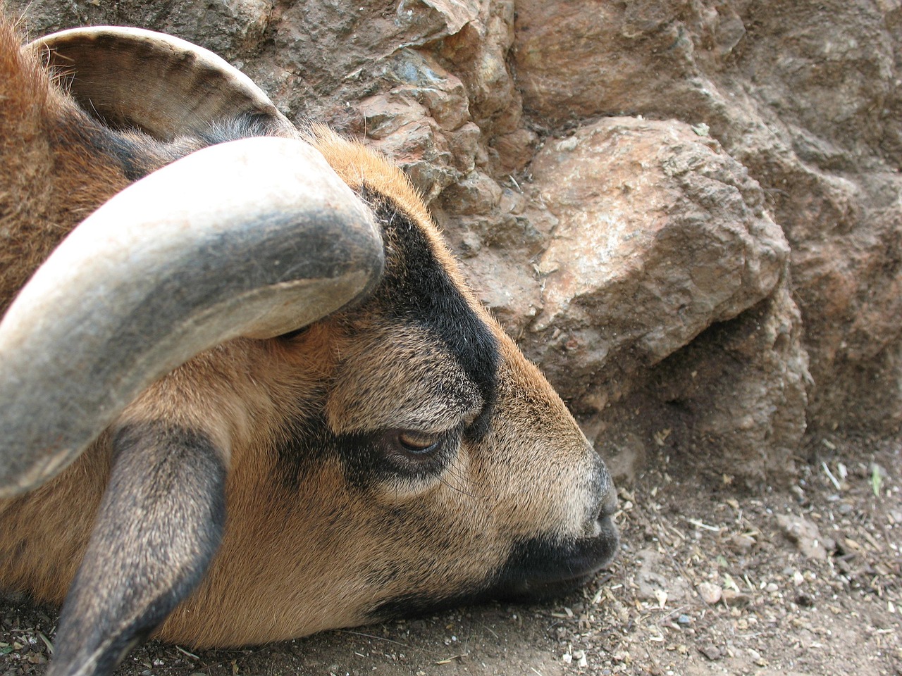 呼和浩特市疫情新动态,新增两例疑似病例的应对与预防 呼和浩特市疫情新动态,新增两例疑似病例的应对与预防