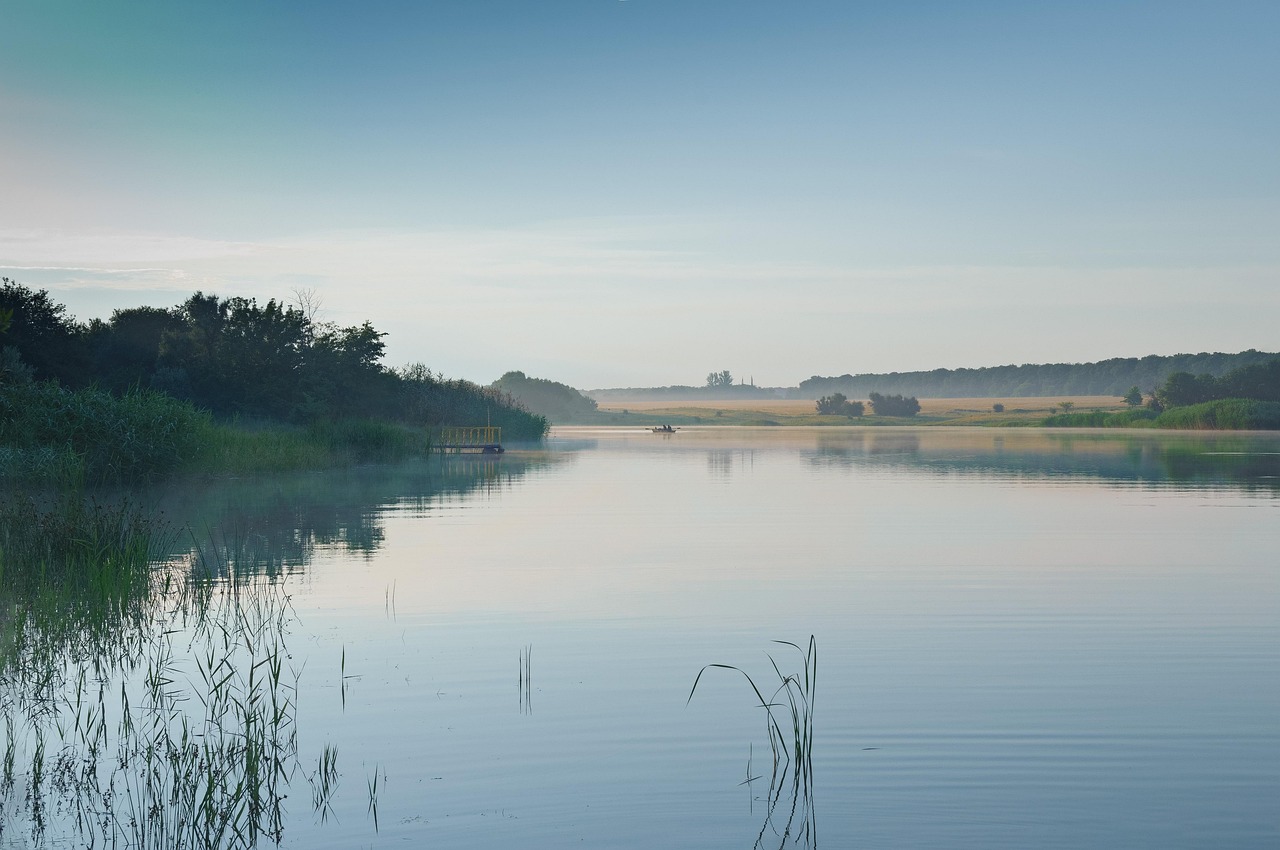河南疫情新动态，了解本土无症状感染者及其防控措施