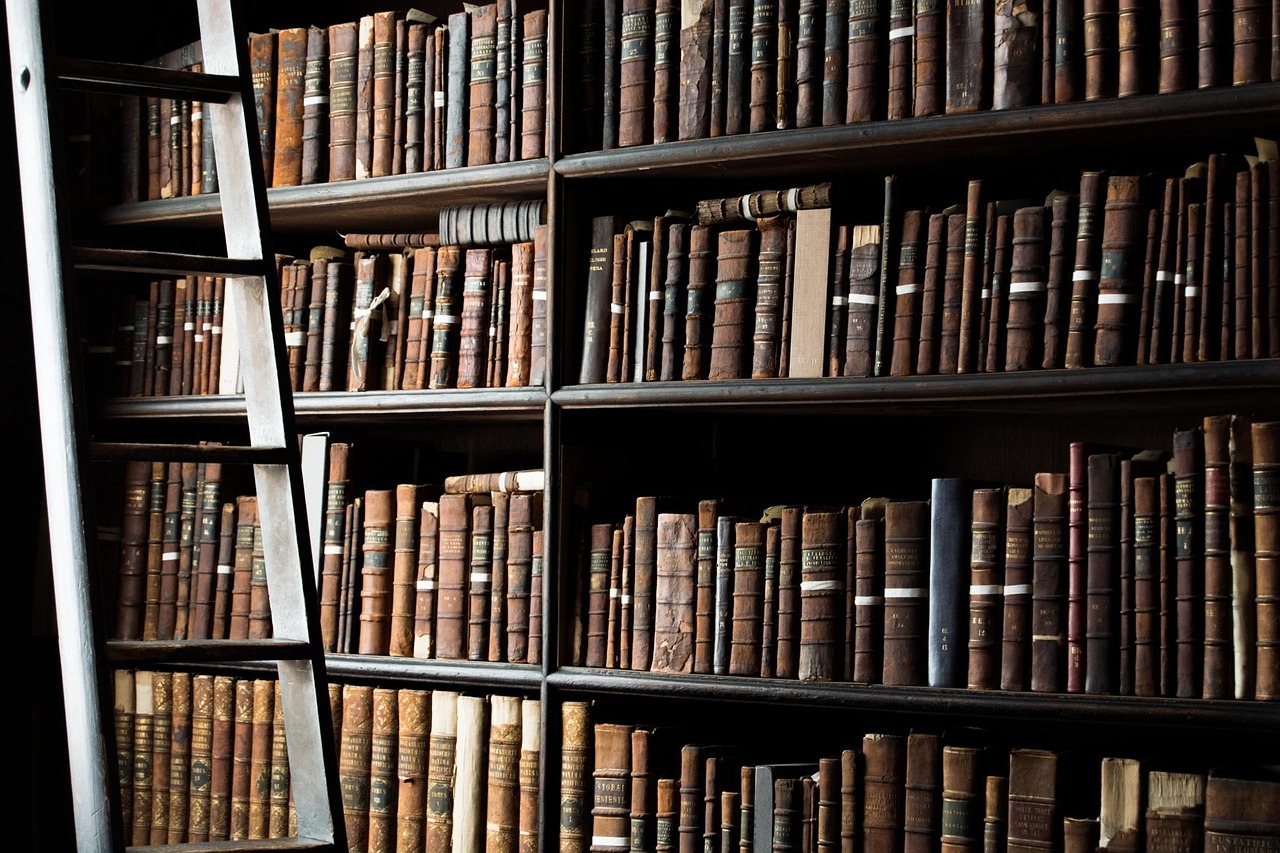 文学文化常识，初一的文学之旅