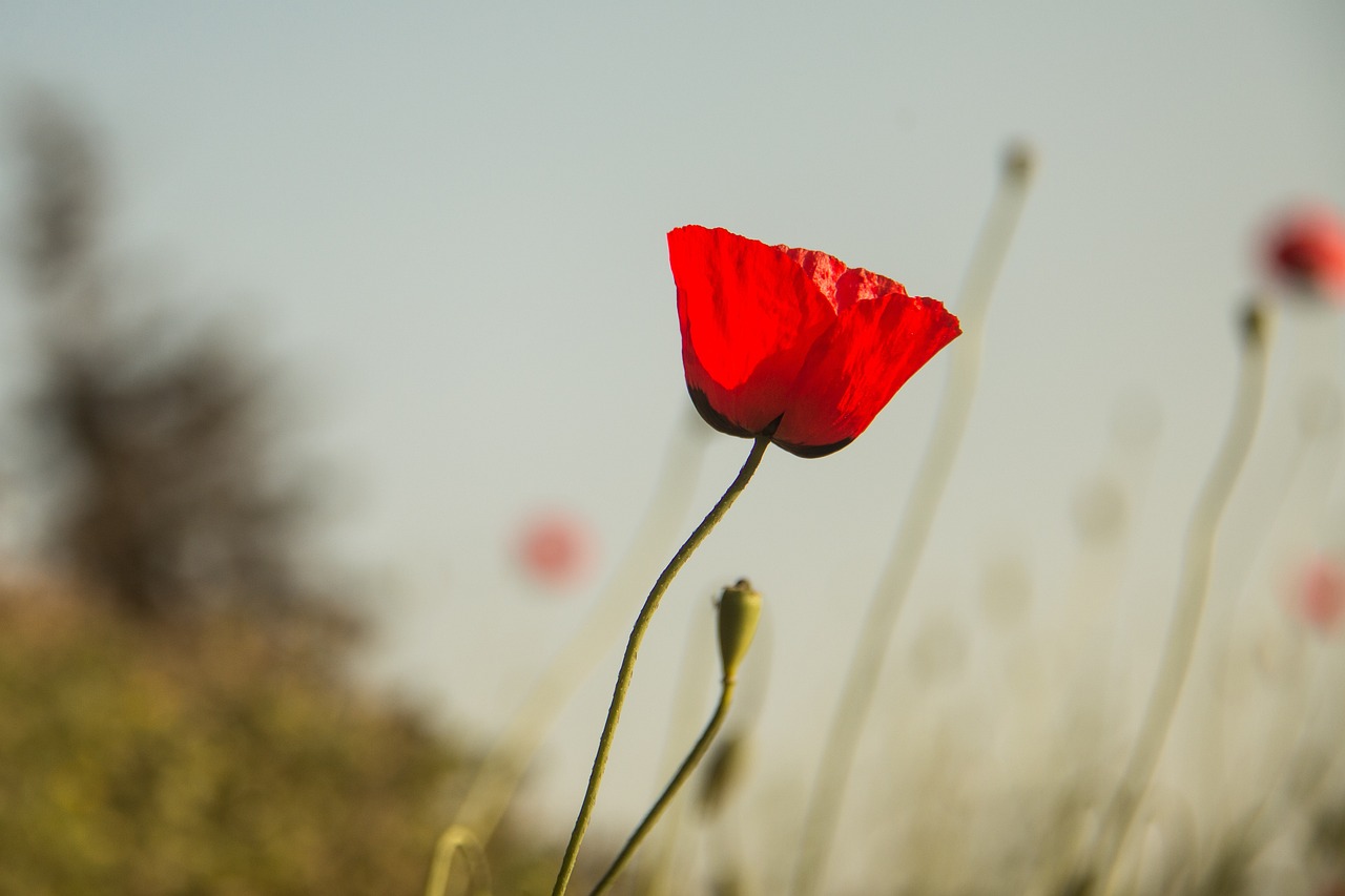 浙江疫情新动态，新增本土确诊病例27例的深入解析与应对策略