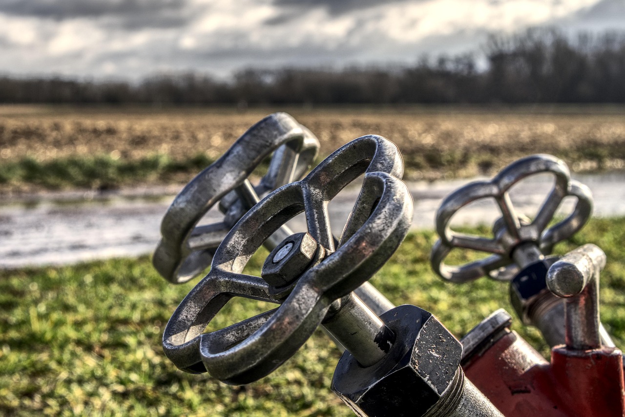 吉林市疫情新动态,携手共筑健康防线