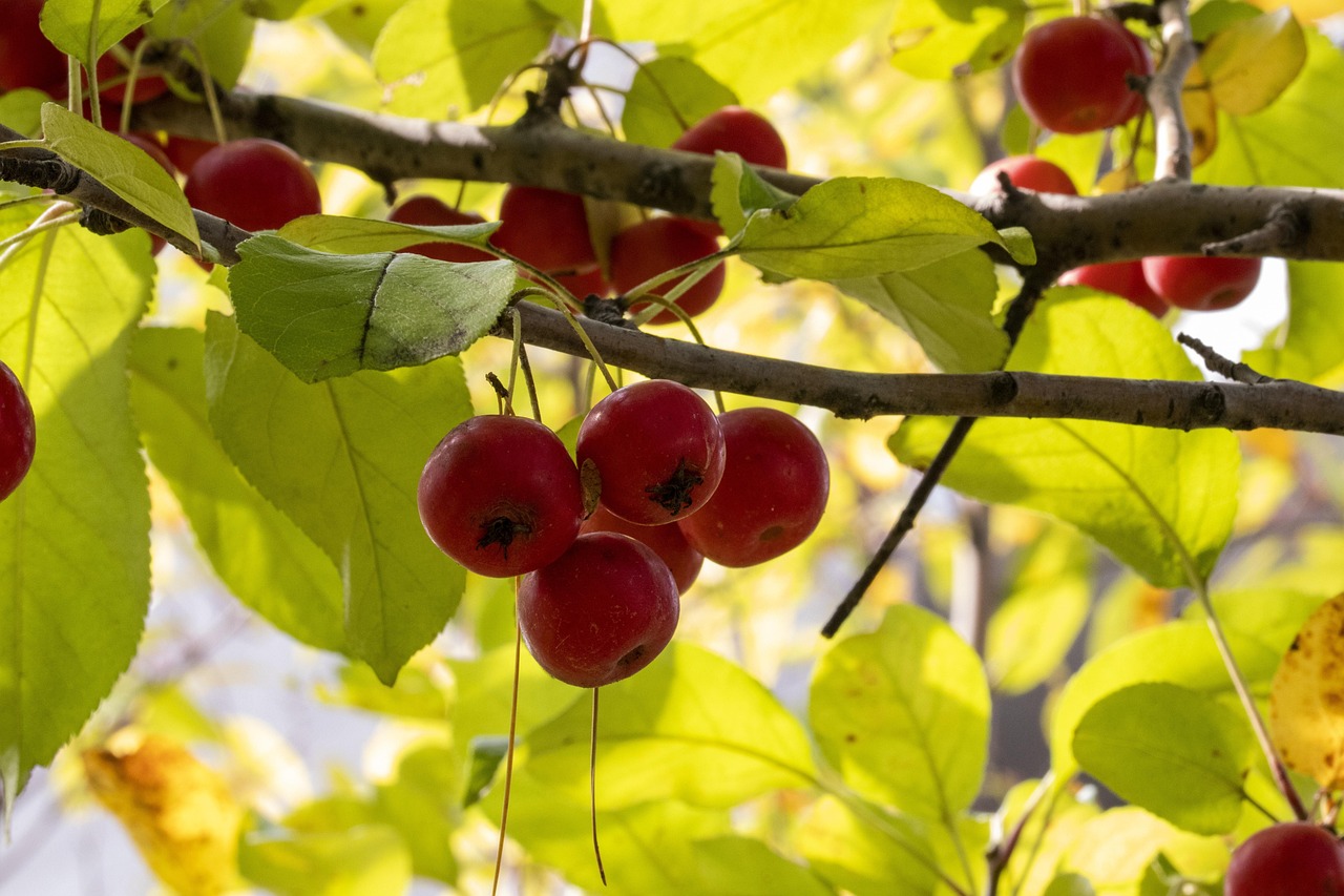 大连疫情新动态，携手共筑健康防线
