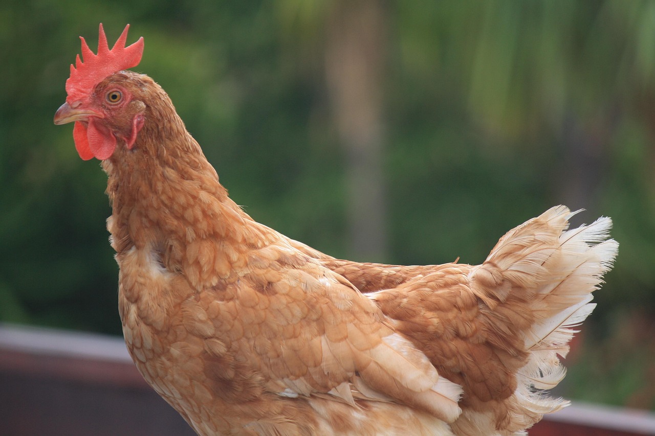 山东疫情新动态，新增本土确诊175例，我们如何有效应对？